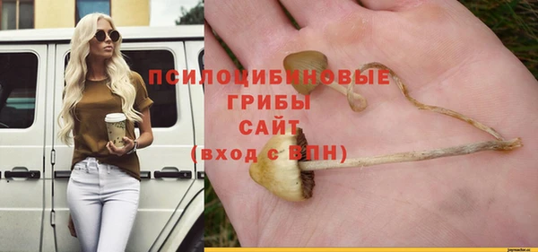 СК Алексеевка