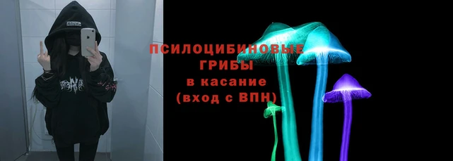 меф Алексин