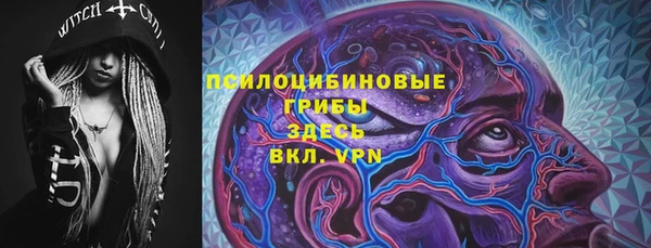 СК Алексеевка