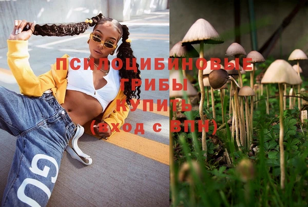 меф Алексин