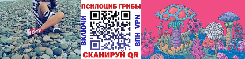 где купить наркоту  Хвалынск  Галлюциногенные грибы Cubensis 